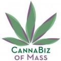 Photo for: Cannabis Business Association formed in Massachusetts 