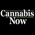 Photo for: Cannabis Now
