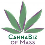 Cannabis Business Association formed in Massachusetts 